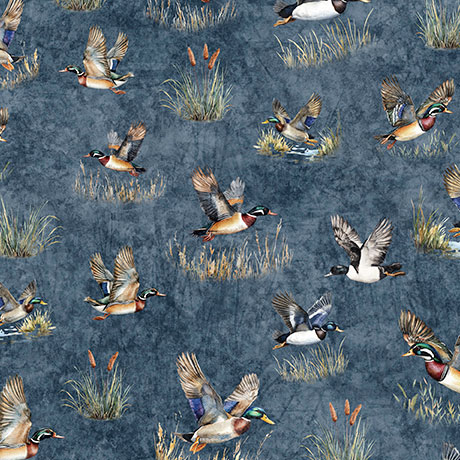Ducks